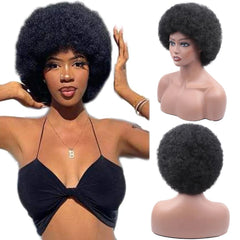 Afro Kinky Curly Synthetic Wig for Black Women - Free Delivery Worldwide only at Flexi Africa