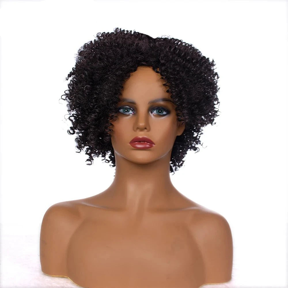 Amir Hair Synthetic Kinky Curly Short Afro Wig for Women - Black & Brown Fluffy Curls - Free Delivery Worldwide only at Flexi Africa