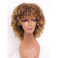 Amir Synthetic Short Curly Wigs for Women Black Hair Afro Kinky Curly Wigs with Bangs - Free Delivery Worldwide only at Flexi Africa